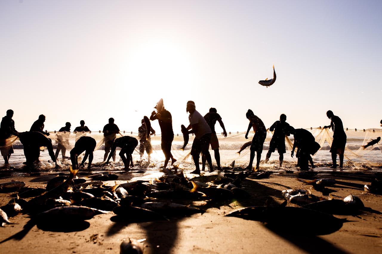 Bombinhas Summer Beach 외부 사진